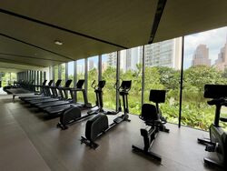 Irwell Hill Residences (D9), Apartment #455054991